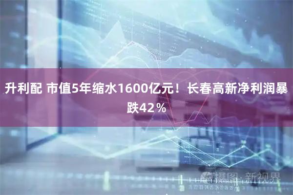 升利配 市值5年缩水1600亿元！长春高新净利润暴跌42％