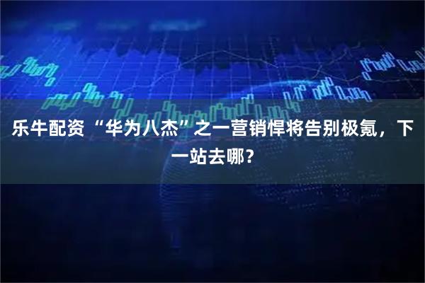 乐牛配资 “华为八杰”之一营销悍将告别极氪，下一站去哪？