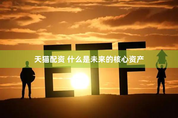 天猫配资 什么是未来的核心资产