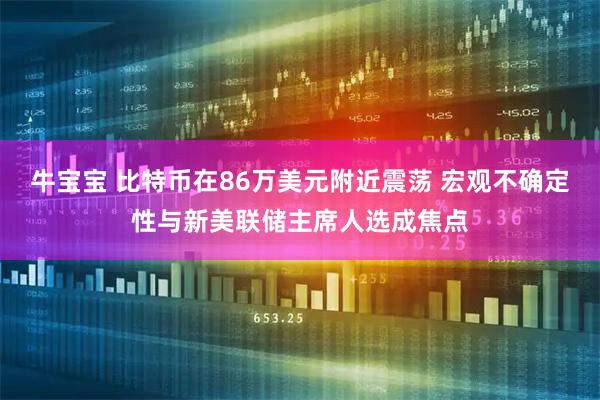 牛宝宝 比特币在86万美元附近震荡 宏观不确定性与新美联储主席人选成焦点
