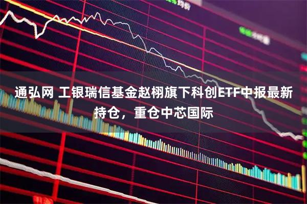 通弘网 工银瑞信基金赵栩旗下科创ETF中报最新持仓，重仓中芯国际